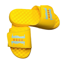 Load image into Gallery viewer, Chi-High Slides (Review Size Chart)