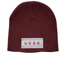 Load image into Gallery viewer, Chi-High Beanies (Multiple Styles & Colors)