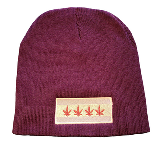 Chi-High Beanies (Multiple Styles & Colors)